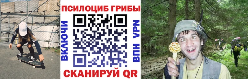 Псилоцибиновые грибы ЛСД  Верхняя Тура 